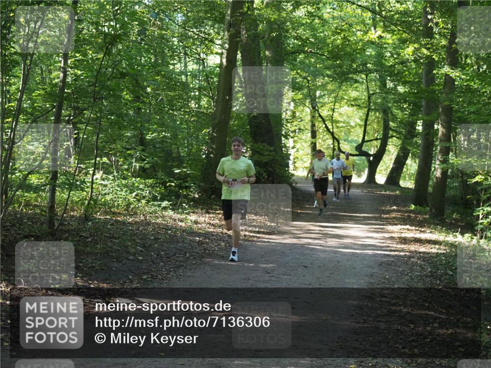 22.09.2024 - 32. Volkslauf durch das schöne Alstertal Miley Keyser http://msf.ph/oto/7136306 22.09.2024 10:41:04 Laufen 2389 meine-sportfotos.de