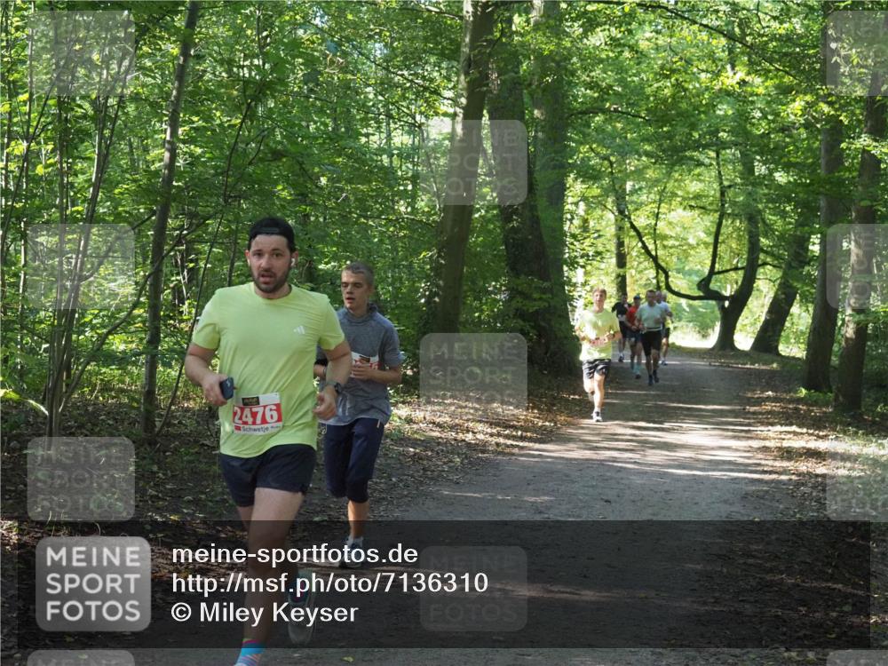 22.09.2024 - 32. Volkslauf durch das schöne Alstertal Miley Keyser http://msf.ph/oto/7136310 22.09.2024 10:41:02 Laufen 2476 meine-sportfotos.de