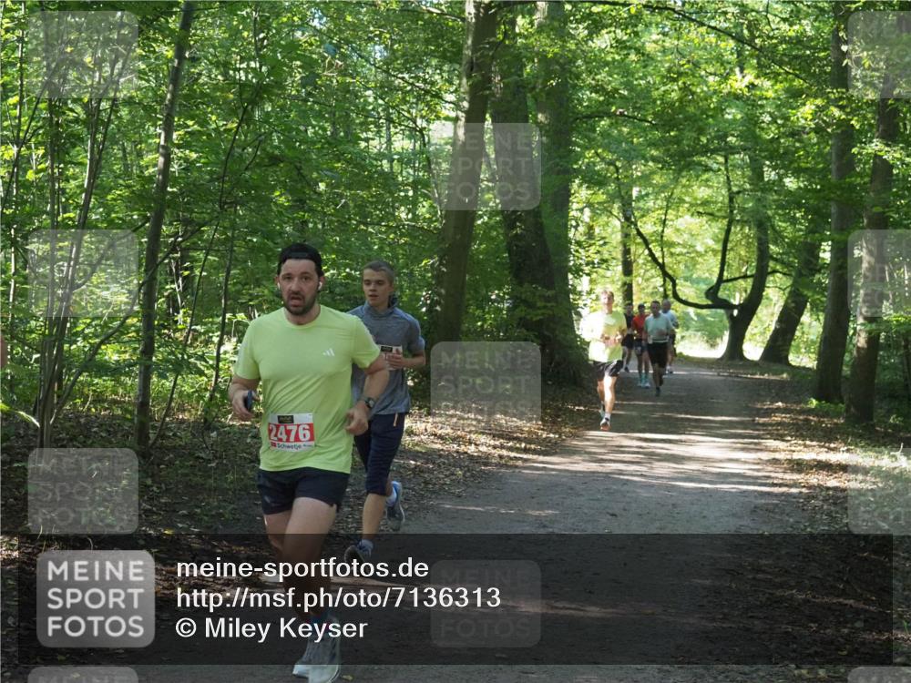 22.09.2024 - 32. Volkslauf durch das schöne Alstertal Miley Keyser http://msf.ph/oto/7136313 22.09.2024 10:41:02 Laufen 2476 meine-sportfotos.de