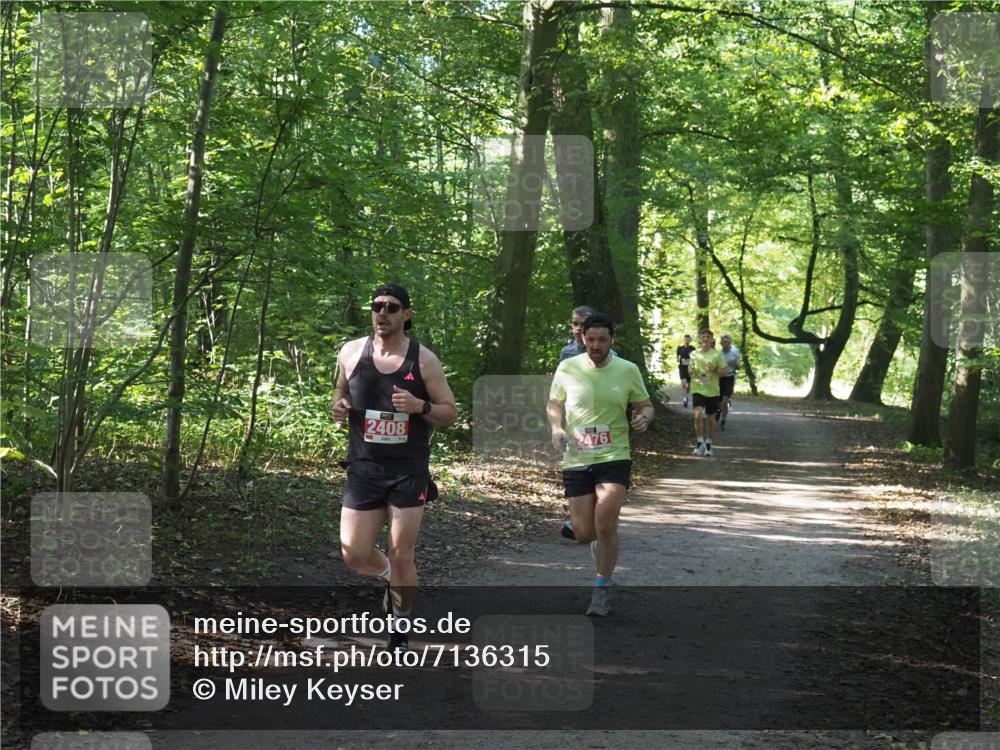 22.09.2024 - 32. Volkslauf durch das schöne Alstertal Miley Keyser http://msf.ph/oto/7136315 22.09.2024 10:41:01 Laufen 2408, 2476 meine-sportfotos.de