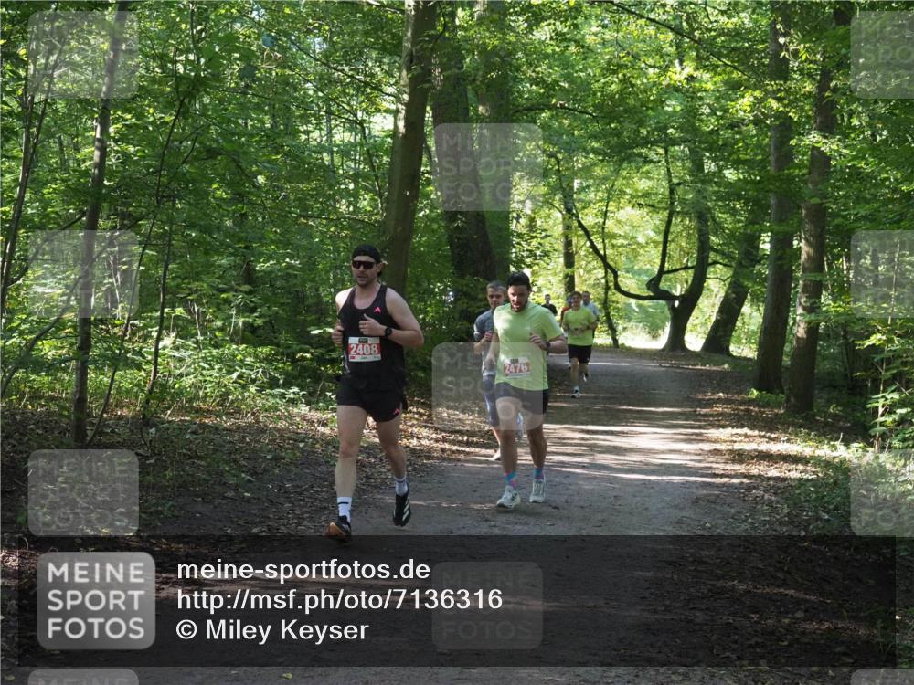 22.09.2024 - 32. Volkslauf durch das schöne Alstertal Miley Keyser http://msf.ph/oto/7136316 22.09.2024 10:41:01 Laufen 2408, 2476 meine-sportfotos.de
