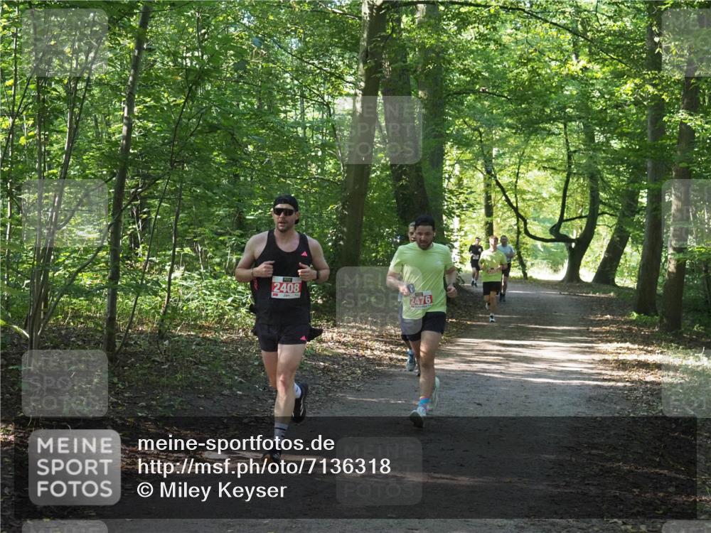 22.09.2024 - 32. Volkslauf durch das schöne Alstertal Miley Keyser http://msf.ph/oto/7136318 22.09.2024 10:41:01 Laufen 2408, 2476 meine-sportfotos.de