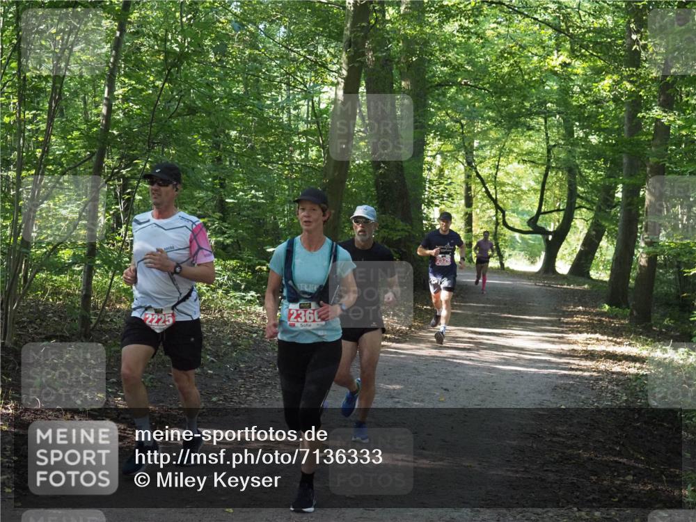 22.09.2024 - 32. Volkslauf durch das schöne Alstertal Miley Keyser http://msf.ph/oto/7136333 22.09.2024 10:40:49 Laufen 2225, 236, 2529 meine-sportfotos.de