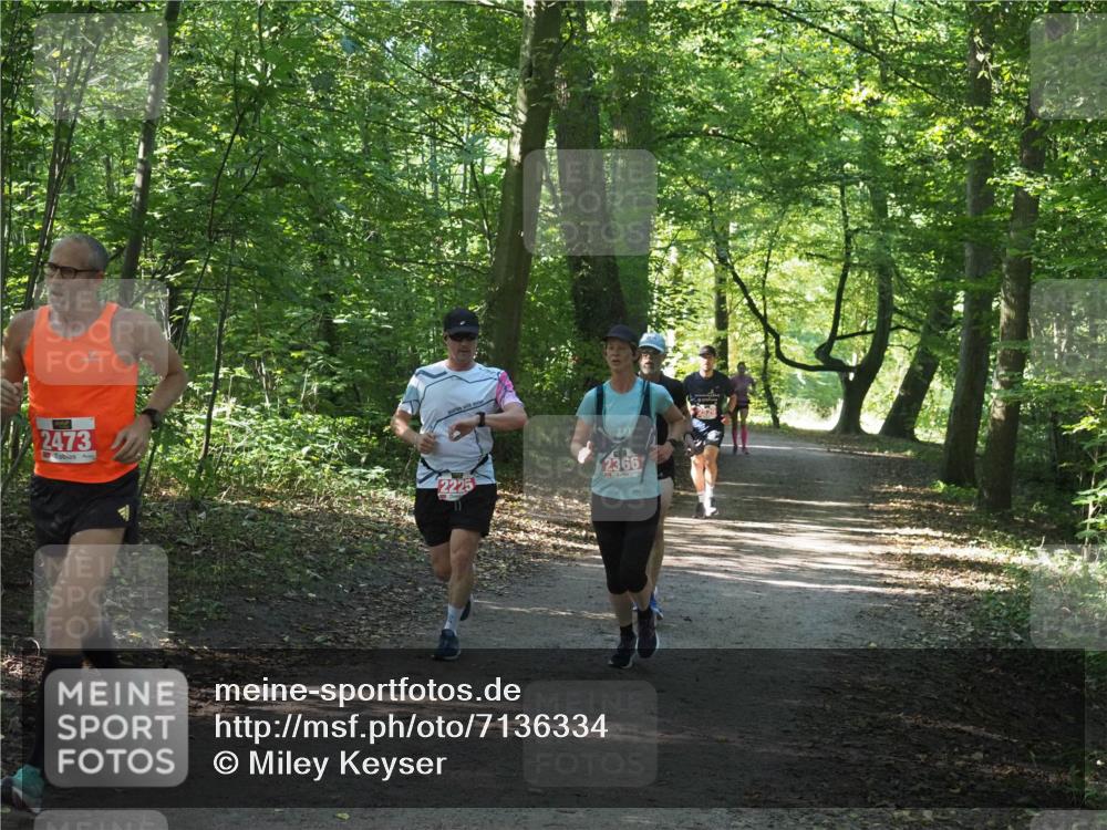 22.09.2024 - 32. Volkslauf durch das schöne Alstertal Miley Keyser http://msf.ph/oto/7136334 22.09.2024 10:40:48 Laufen 2473, 2366 meine-sportfotos.de