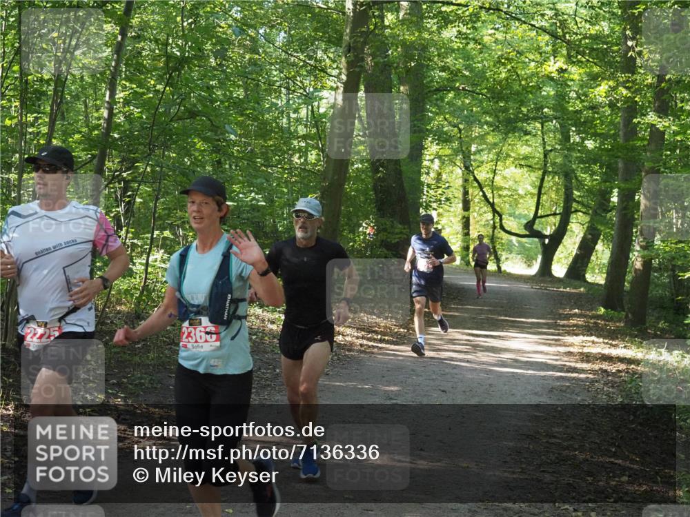 22.09.2024 - 32. Volkslauf durch das schöne Alstertal Miley Keyser http://msf.ph/oto/7136336 22.09.2024 10:40:49 Laufen 2366, 425 meine-sportfotos.de