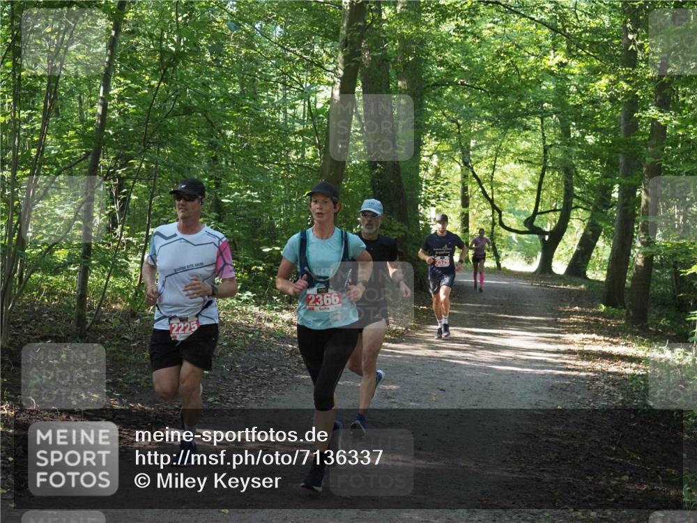 22.09.2024 - 32. Volkslauf durch das schöne Alstertal Miley Keyser http://msf.ph/oto/7136337 22.09.2024 10:40:49 Laufen 2225, 2366, 2529 meine-sportfotos.de