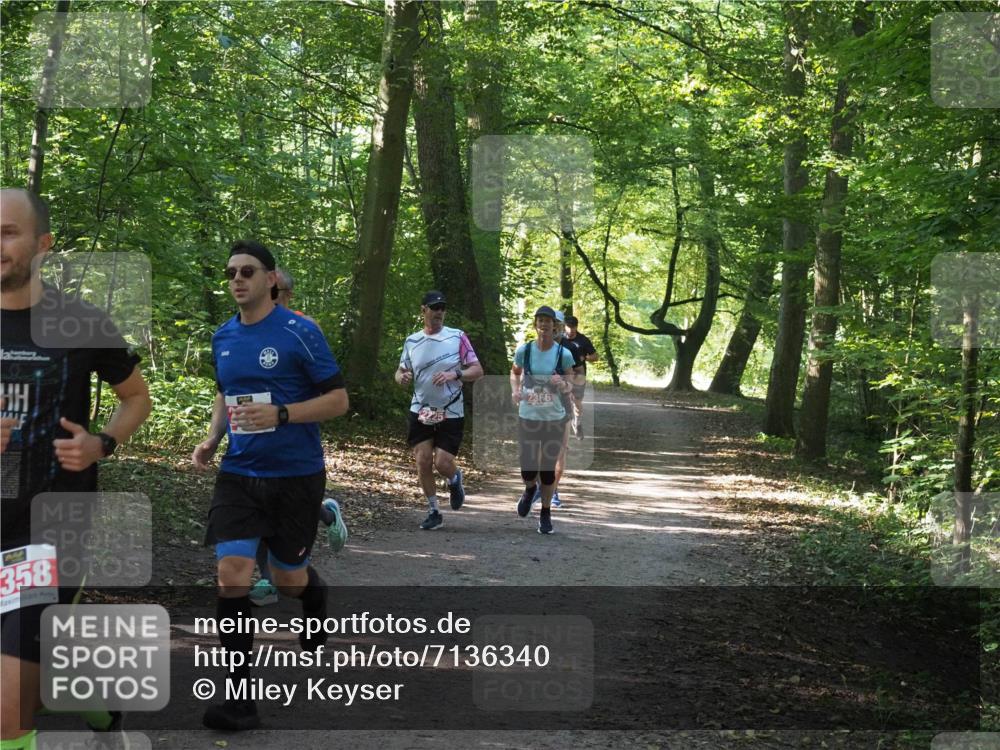 22.09.2024 - 32. Volkslauf durch das schöne Alstertal Miley Keyser http://msf.ph/oto/7136340 22.09.2024 10:40:47 Laufen 358 meine-sportfotos.de