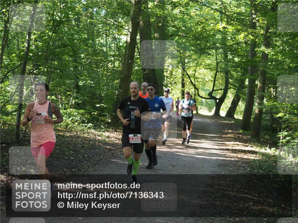 22.09.2024 - 32. Volkslauf durch das schöne Alstertal Miley Keyser http://msf.ph/oto/7136343 22.09.2024 10:40:45 Laufen 2066, 2358 meine-sportfotos.de