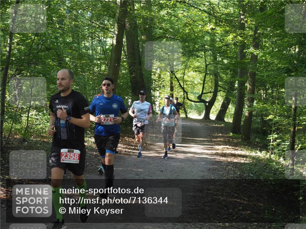 22.09.2024 - 32. Volkslauf durch das schöne Alstertal Miley Keyser http://msf.ph/oto/7136344 22.09.2024 10:40:46 Laufen 2221, 2358 meine-sportfotos.de