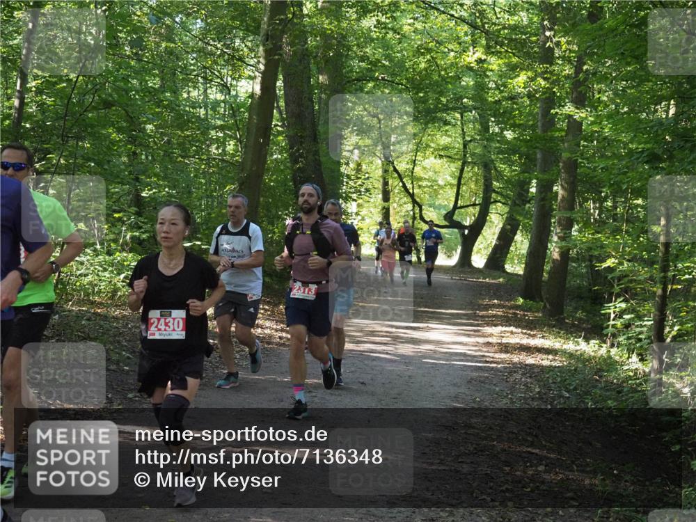 22.09.2024 - 32. Volkslauf durch das schöne Alstertal Miley Keyser http://msf.ph/oto/7136348 22.09.2024 10:40:38 Laufen 2430, 2313 meine-sportfotos.de