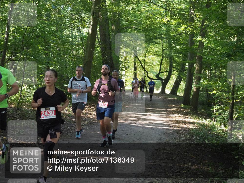 22.09.2024 - 32. Volkslauf durch das schöne Alstertal Miley Keyser http://msf.ph/oto/7136349 22.09.2024 10:40:38 Laufen 2430, 2313 meine-sportfotos.de