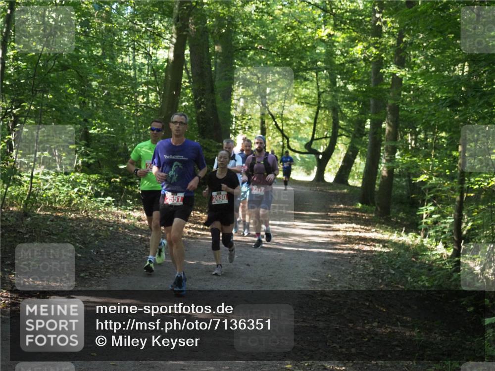 22.09.2024 - 32. Volkslauf durch das schöne Alstertal Miley Keyser http://msf.ph/oto/7136351 22.09.2024 10:40:37 Laufen 2551, 2430 meine-sportfotos.de