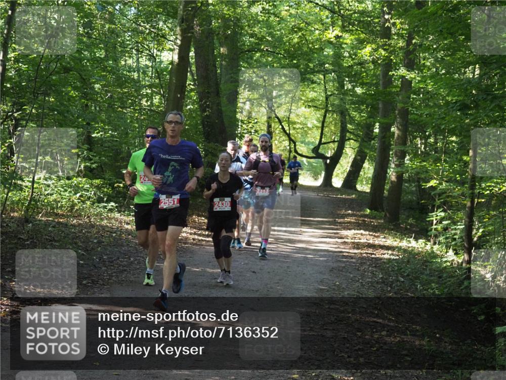 22.09.2024 - 32. Volkslauf durch das schöne Alstertal Miley Keyser http://msf.ph/oto/7136352 22.09.2024 10:40:37 Laufen 24, 2551, 2430, 2313 meine-sportfotos.de