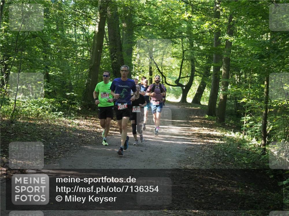 22.09.2024 - 32. Volkslauf durch das schöne Alstertal Miley Keyser http://msf.ph/oto/7136354 22.09.2024 10:40:36 Laufen 2413, 2551, 2430 meine-sportfotos.de