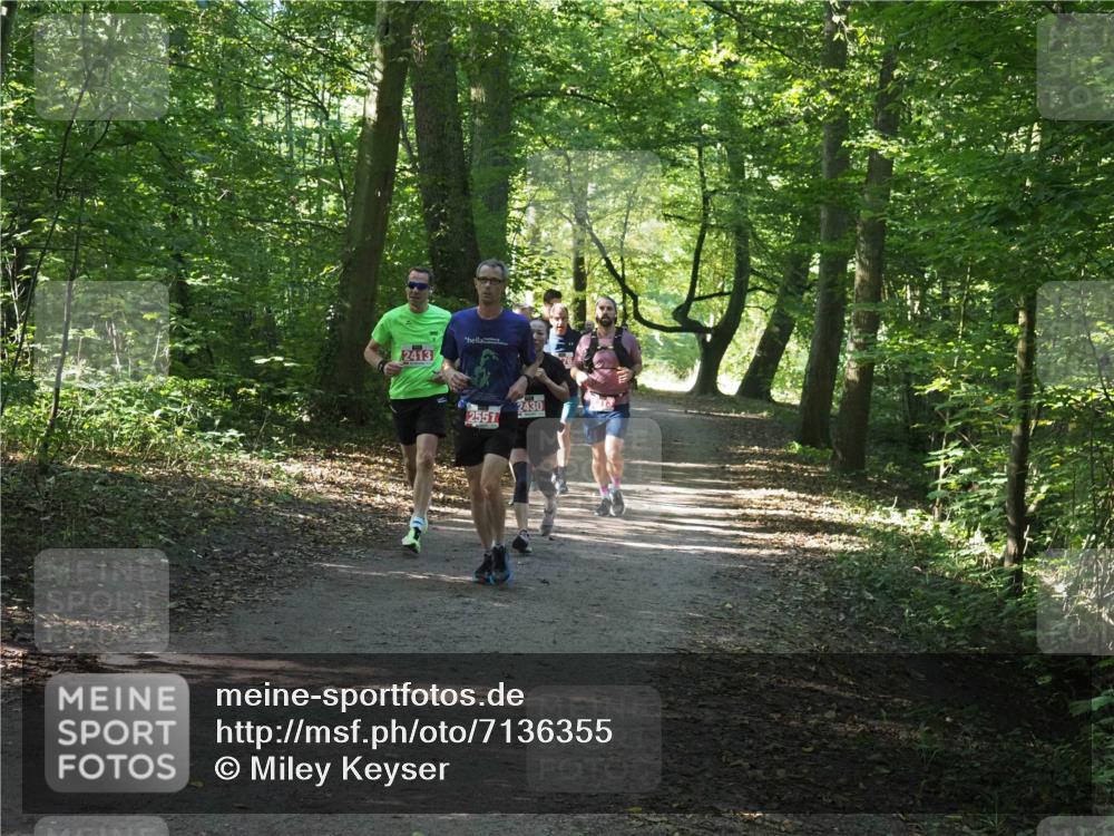 22.09.2024 - 32. Volkslauf durch das schöne Alstertal Miley Keyser http://msf.ph/oto/7136355 22.09.2024 10:40:36 Laufen 2413, 2551, 2430 meine-sportfotos.de