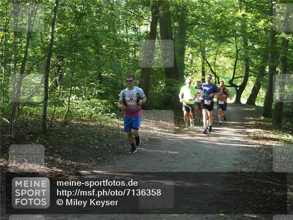22.09.2024 - 32. Volkslauf durch das schöne Alstertal Miley Keyser http://msf.ph/oto/7136358 22.09.2024 10:40:35 Laufen 464, 2557, 213 meine-sportfotos.de