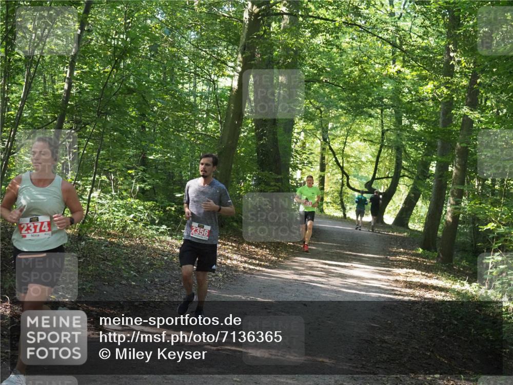 22.09.2024 - 32. Volkslauf durch das schöne Alstertal Miley Keyser http://msf.ph/oto/7136365 22.09.2024 10:40:25 Laufen 2374, 2356 meine-sportfotos.de