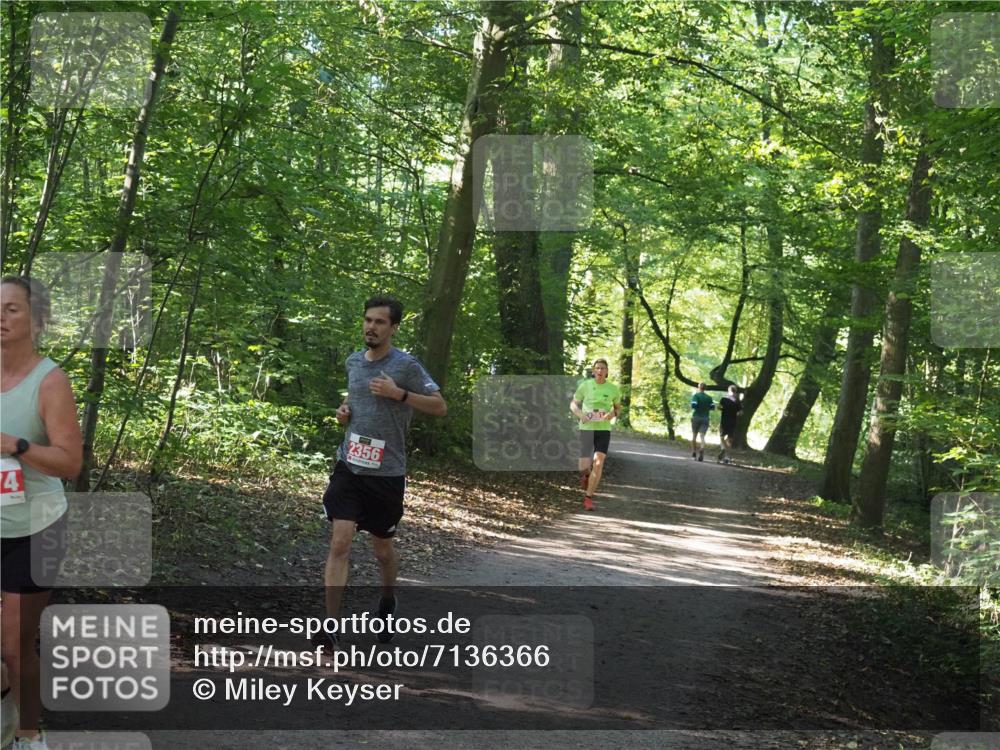 22.09.2024 - 32. Volkslauf durch das schöne Alstertal Miley Keyser http://msf.ph/oto/7136366 22.09.2024 10:40:25 Laufen 4, 2356 meine-sportfotos.de