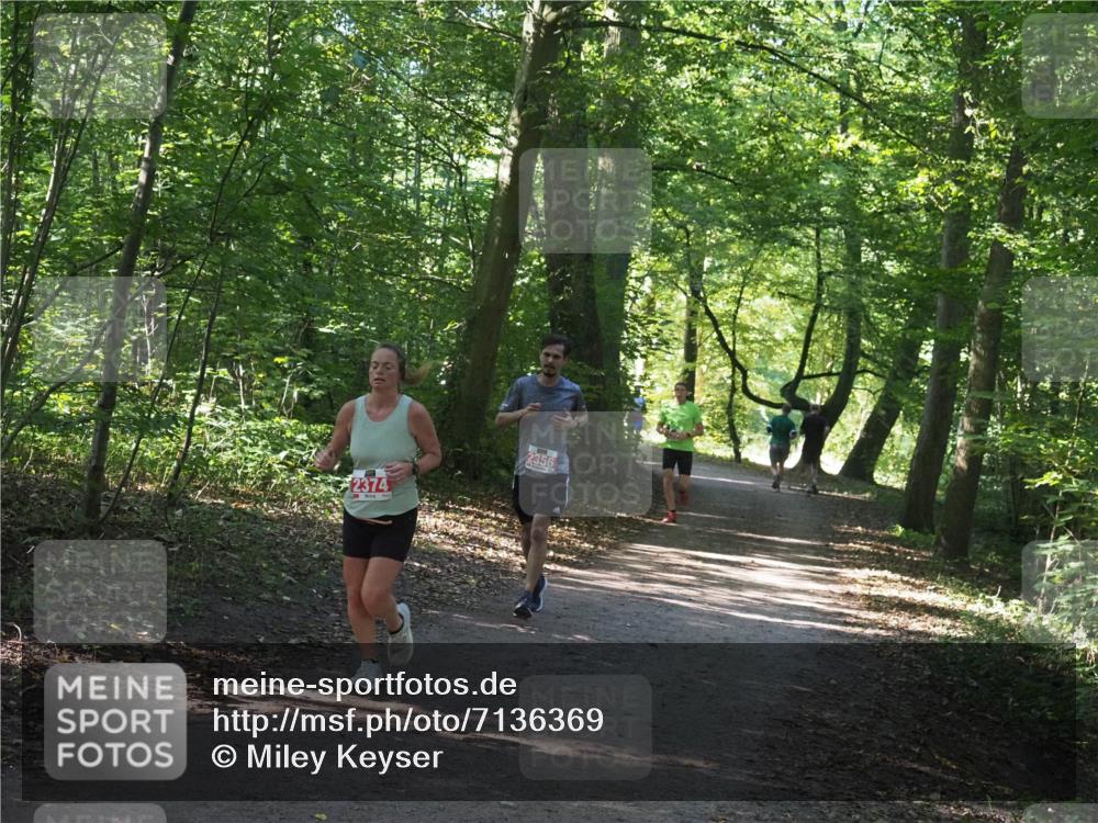 22.09.2024 - 32. Volkslauf durch das schöne Alstertal Miley Keyser http://msf.ph/oto/7136369 22.09.2024 10:40:24 Laufen 2374, 2356 meine-sportfotos.de