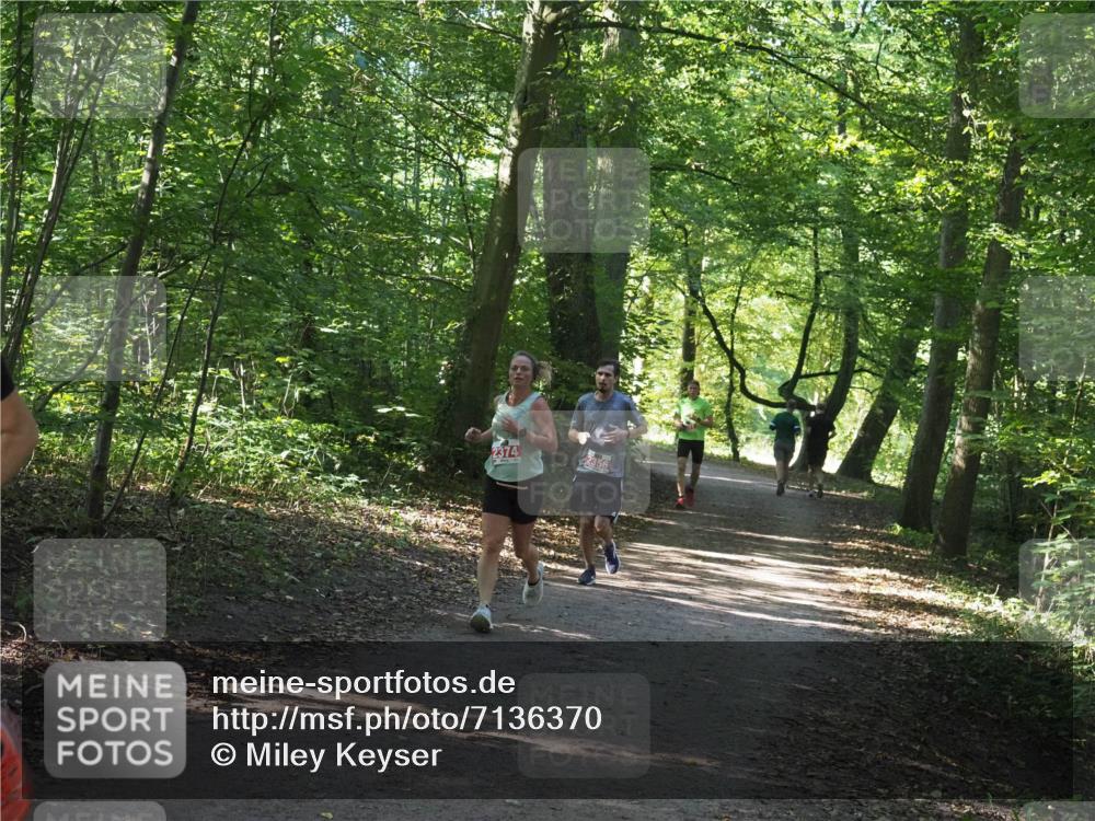 22.09.2024 - 32. Volkslauf durch das schöne Alstertal Miley Keyser http://msf.ph/oto/7136370 22.09.2024 10:40:23 Laufen 2374, 2356 meine-sportfotos.de