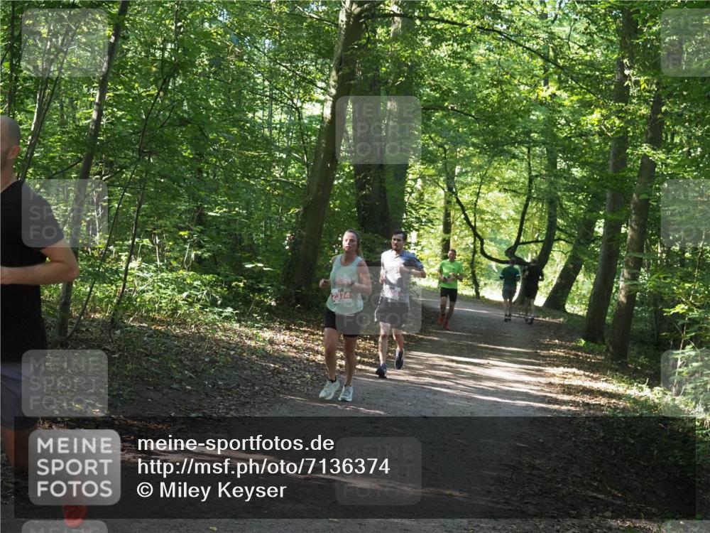22.09.2024 - 32. Volkslauf durch das schöne Alstertal Miley Keyser http://msf.ph/oto/7136374 22.09.2024 10:40:23 Laufen 2374 meine-sportfotos.de