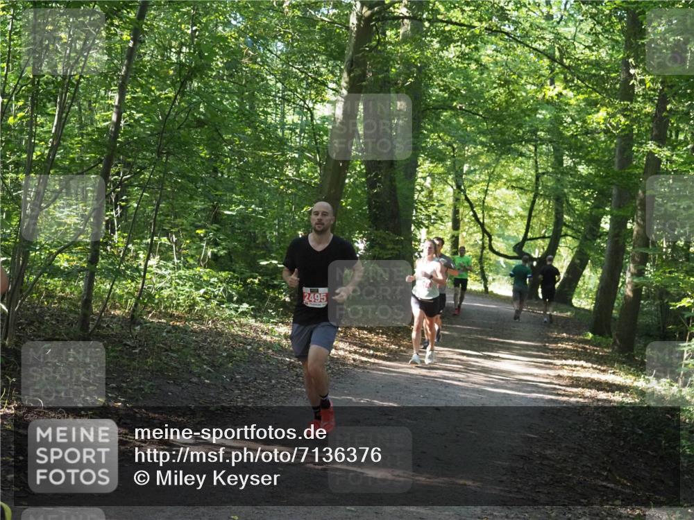 22.09.2024 - 32. Volkslauf durch das schöne Alstertal Miley Keyser http://msf.ph/oto/7136376 22.09.2024 10:40:22 Laufen 2495 meine-sportfotos.de