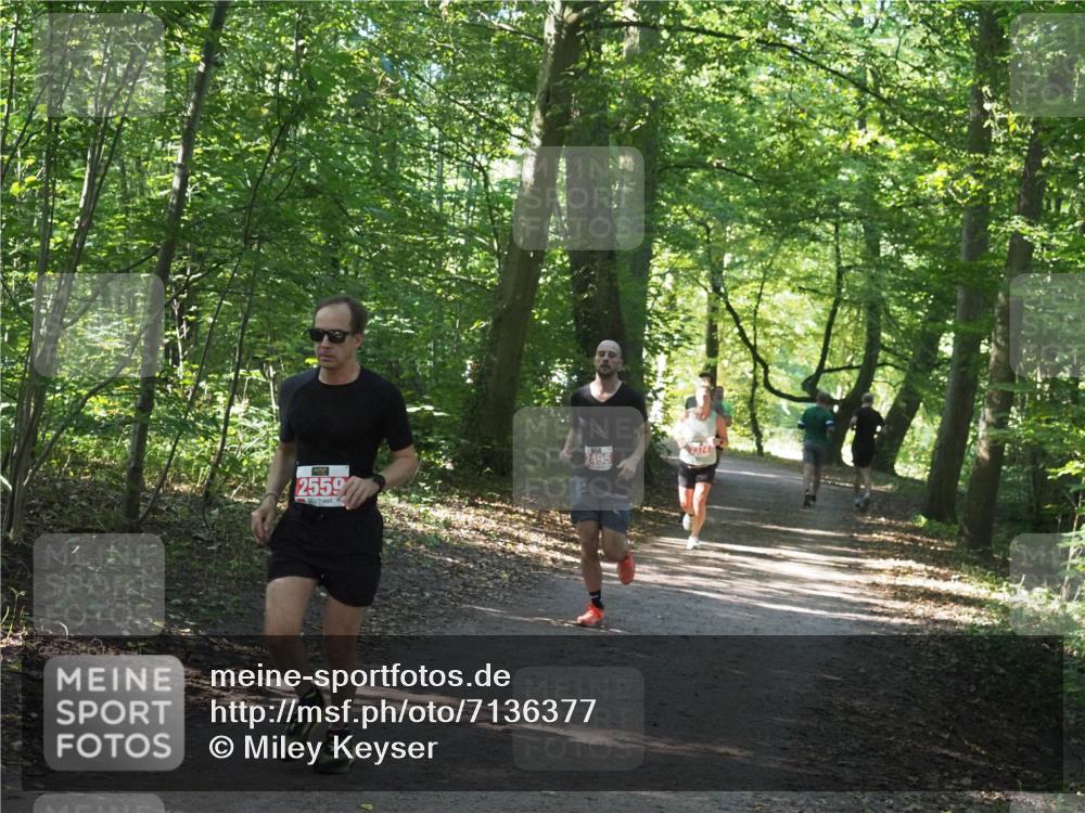 22.09.2024 - 32. Volkslauf durch das schöne Alstertal Miley Keyser http://msf.ph/oto/7136377 22.09.2024 10:40:21 Laufen 2559 meine-sportfotos.de