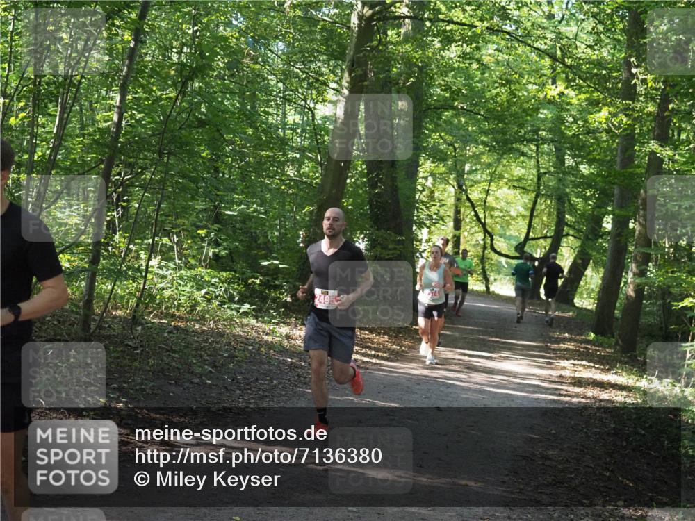 22.09.2024 - 32. Volkslauf durch das schöne Alstertal Miley Keyser http://msf.ph/oto/7136380 22.09.2024 10:40:21 Laufen 2495, 14 meine-sportfotos.de