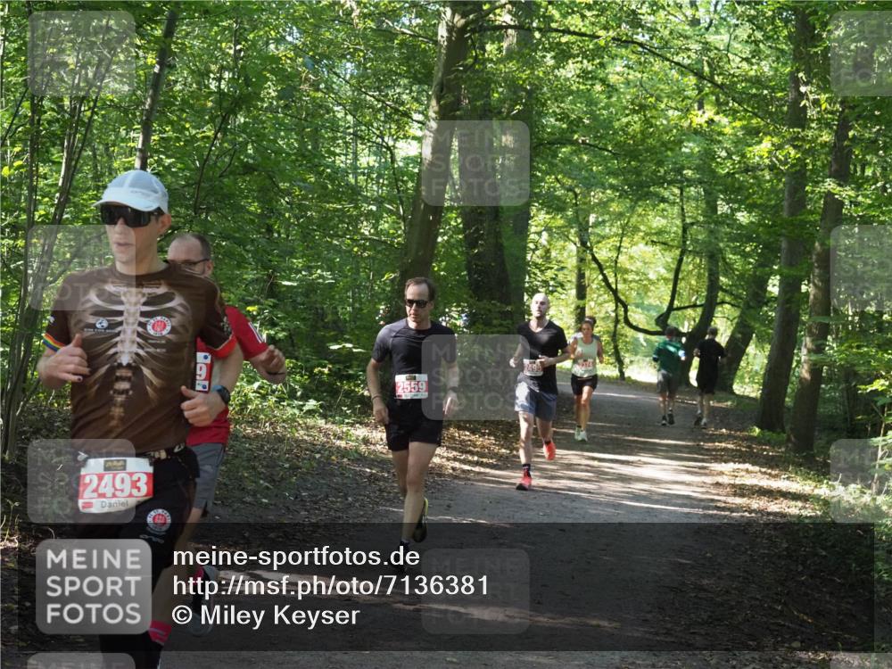 22.09.2024 - 32. Volkslauf durch das schöne Alstertal Miley Keyser http://msf.ph/oto/7136381 22.09.2024 10:40:20 Laufen 2493, 2559, 2495 meine-sportfotos.de