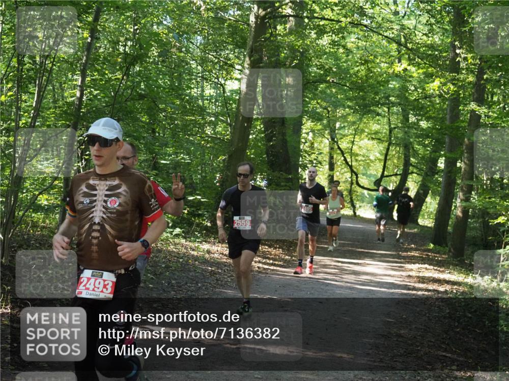 22.09.2024 - 32. Volkslauf durch das schöne Alstertal Miley Keyser http://msf.ph/oto/7136382 22.09.2024 10:40:20 Laufen 2493, 2559, 2495, 2374 meine-sportfotos.de