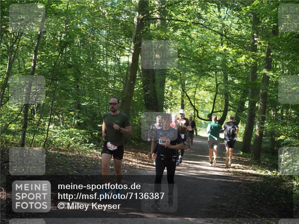 22.09.2024 - 32. Volkslauf durch das schöne Alstertal Miley Keyser http://msf.ph/oto/7136387 22.09.2024 10:40:16 Laufen 2523, 156 meine-sportfotos.de