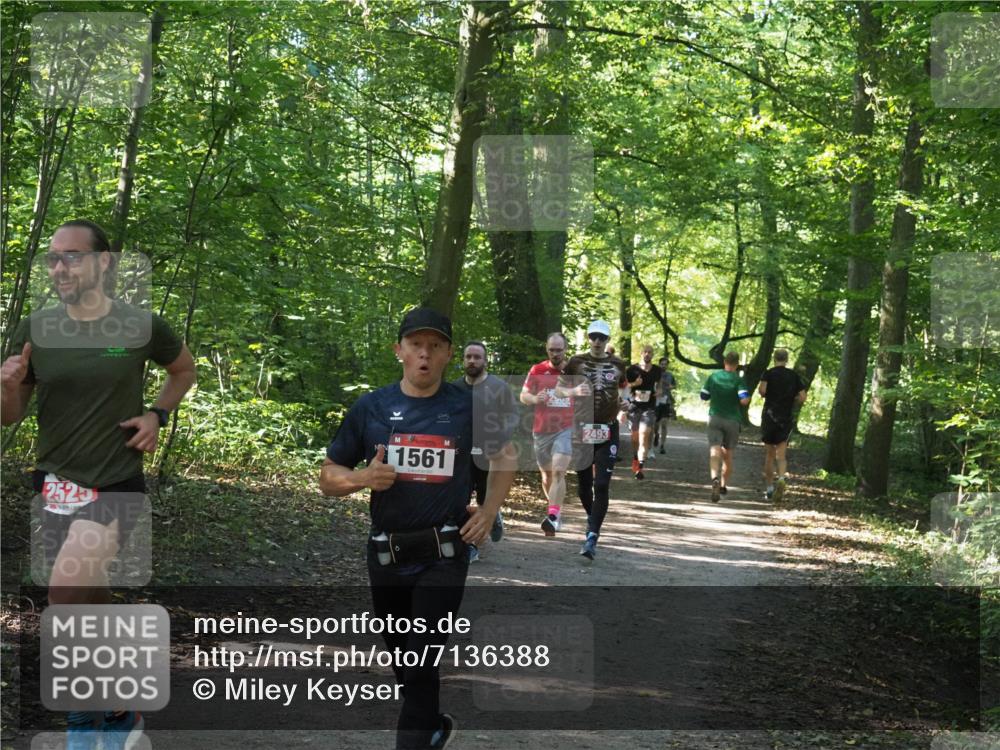22.09.2024 - 32. Volkslauf durch das schöne Alstertal Miley Keyser http://msf.ph/oto/7136388 22.09.2024 10:40:17 Laufen 252, 1561, 2493 meine-sportfotos.de