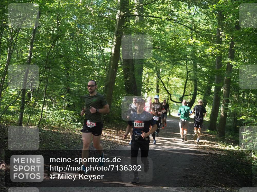 22.09.2024 - 32. Volkslauf durch das schöne Alstertal Miley Keyser http://msf.ph/oto/7136392 22.09.2024 10:40:16 Laufen 2525, 1561, 2493 meine-sportfotos.de