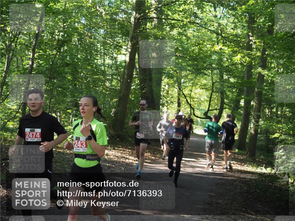 22.09.2024 - 32. Volkslauf durch das schöne Alstertal Miley Keyser http://msf.ph/oto/7136393 22.09.2024 10:40:15 Laufen 2474, 243, 1561 meine-sportfotos.de