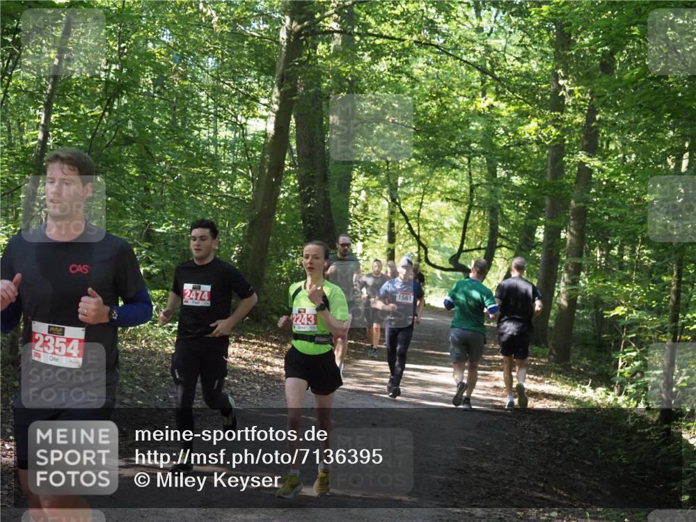22.09.2024 - 32. Volkslauf durch das schöne Alstertal Miley Keyser http://msf.ph/oto/7136395 22.09.2024 10:40:14 Laufen 2474, 2354, 2243, 1561 meine-sportfotos.de