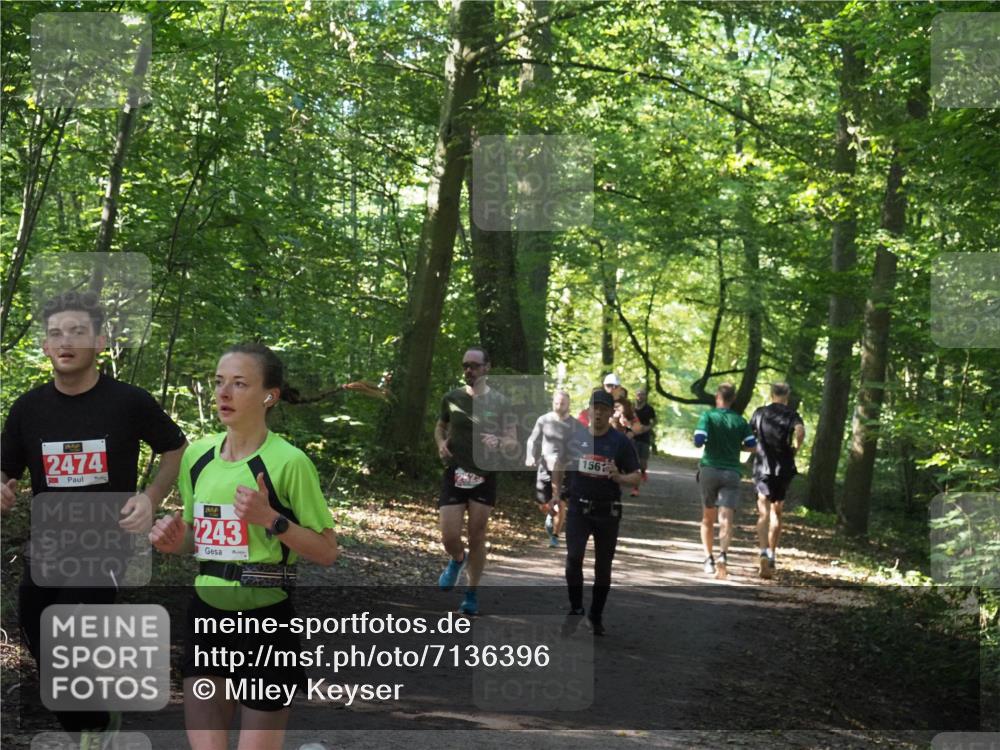 22.09.2024 - 32. Volkslauf durch das schöne Alstertal Miley Keyser http://msf.ph/oto/7136396 22.09.2024 10:40:15 Laufen 2474, 2243, 156 meine-sportfotos.de