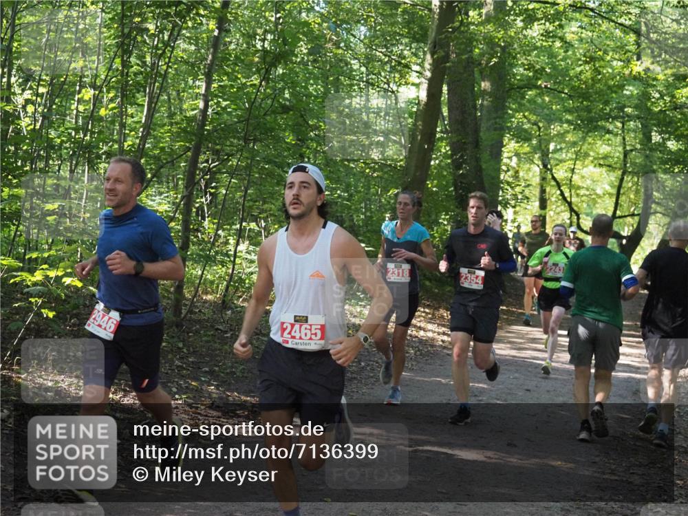 22.09.2024 - 32. Volkslauf durch das schöne Alstertal Miley Keyser http://msf.ph/oto/7136399 22.09.2024 10:40:13 Laufen 2946, 2465, 2318, 2354, 243 meine-sportfotos.de