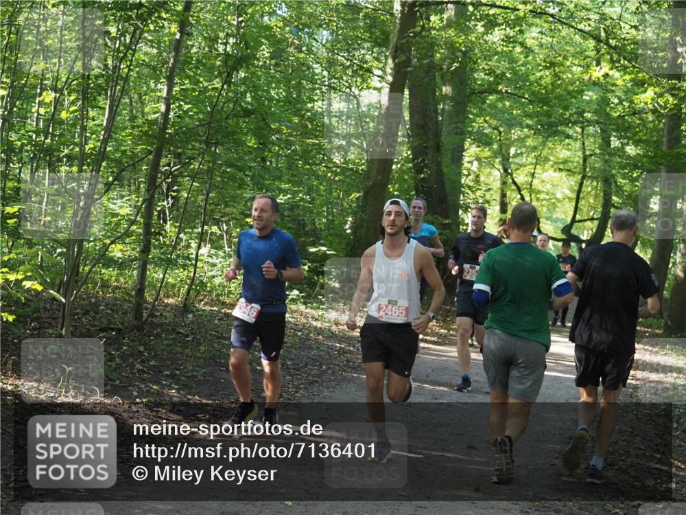 22.09.2024 - 32. Volkslauf durch das schöne Alstertal Miley Keyser http://msf.ph/oto/7136401 22.09.2024 10:40:12 Laufen 2946, 2465 meine-sportfotos.de