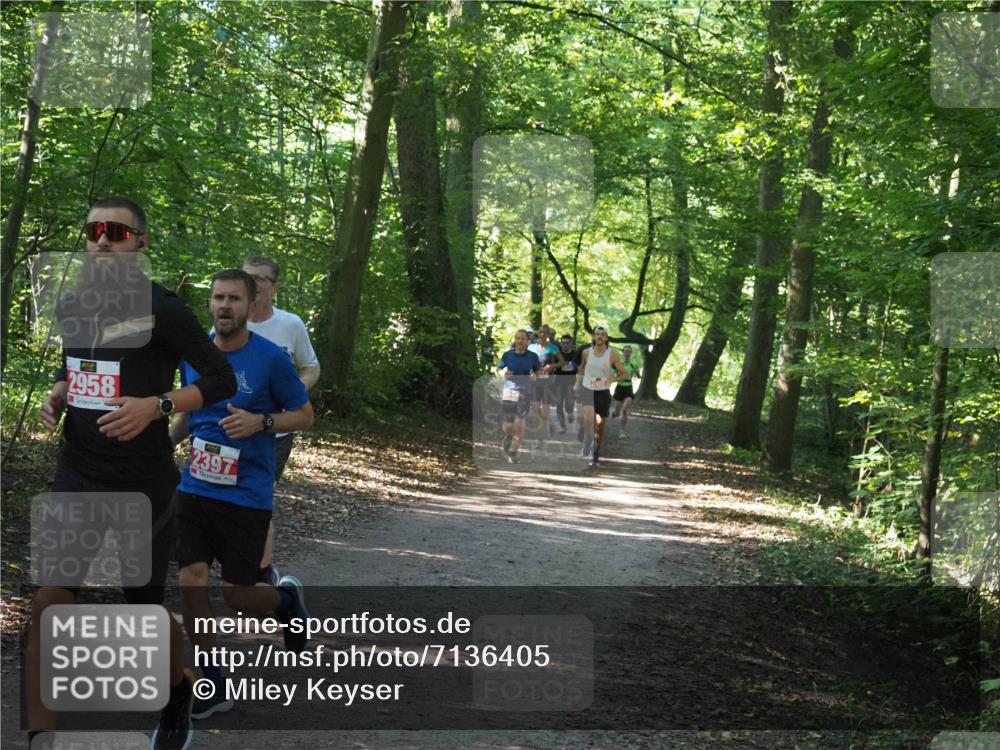 22.09.2024 - 32. Volkslauf durch das schöne Alstertal Miley Keyser http://msf.ph/oto/7136405 22.09.2024 10:40:08 Laufen 2958, 2397 meine-sportfotos.de