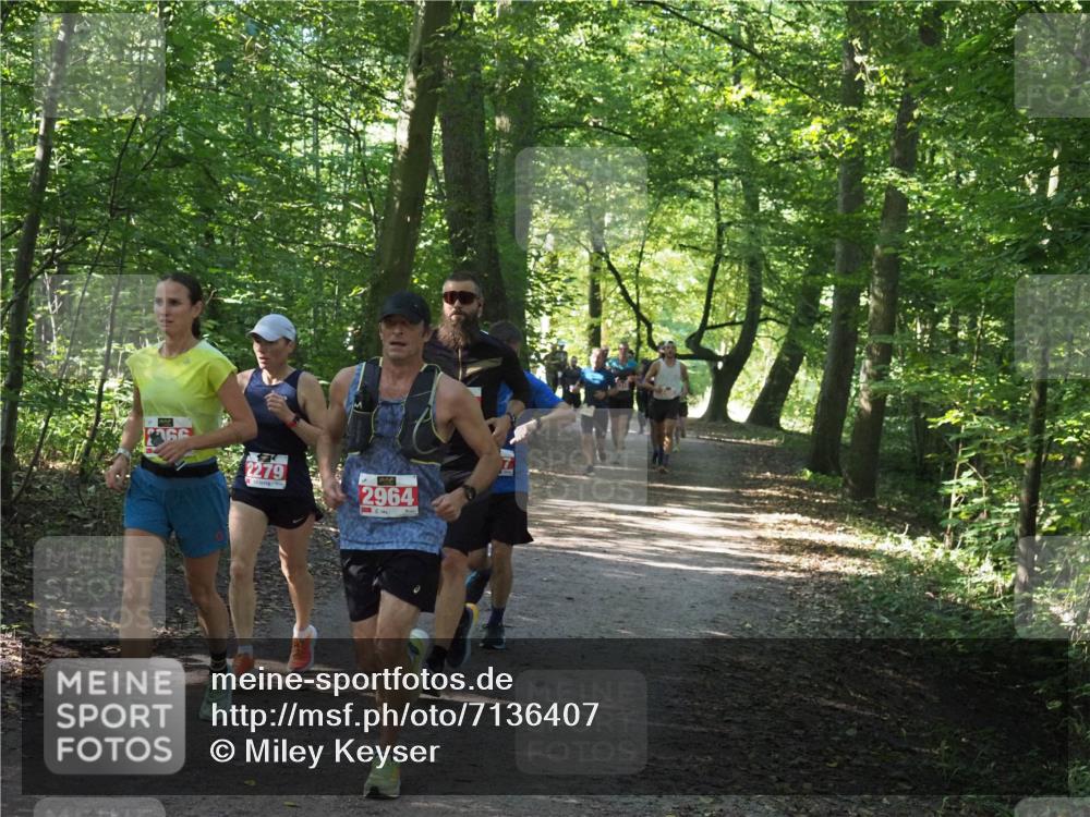 22.09.2024 - 32. Volkslauf durch das schöne Alstertal Miley Keyser http://msf.ph/oto/7136407 22.09.2024 10:40:07 Laufen 2279, 2964 meine-sportfotos.de