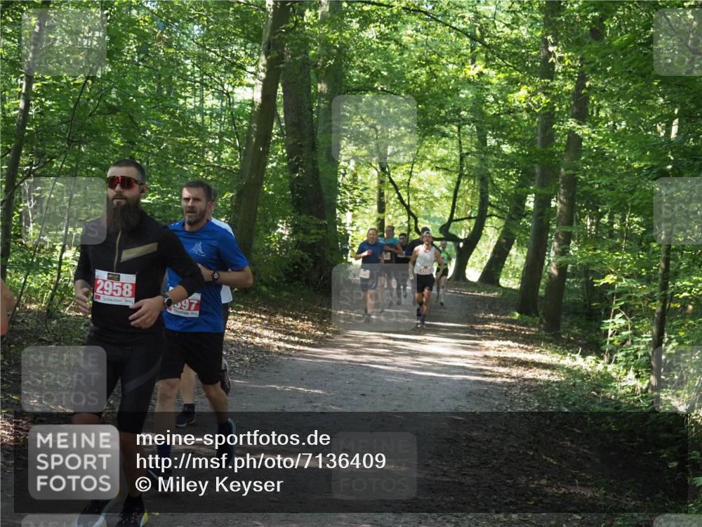 22.09.2024 - 32. Volkslauf durch das schöne Alstertal Miley Keyser http://msf.ph/oto/7136409 22.09.2024 10:40:08 Laufen 2958, 97 meine-sportfotos.de