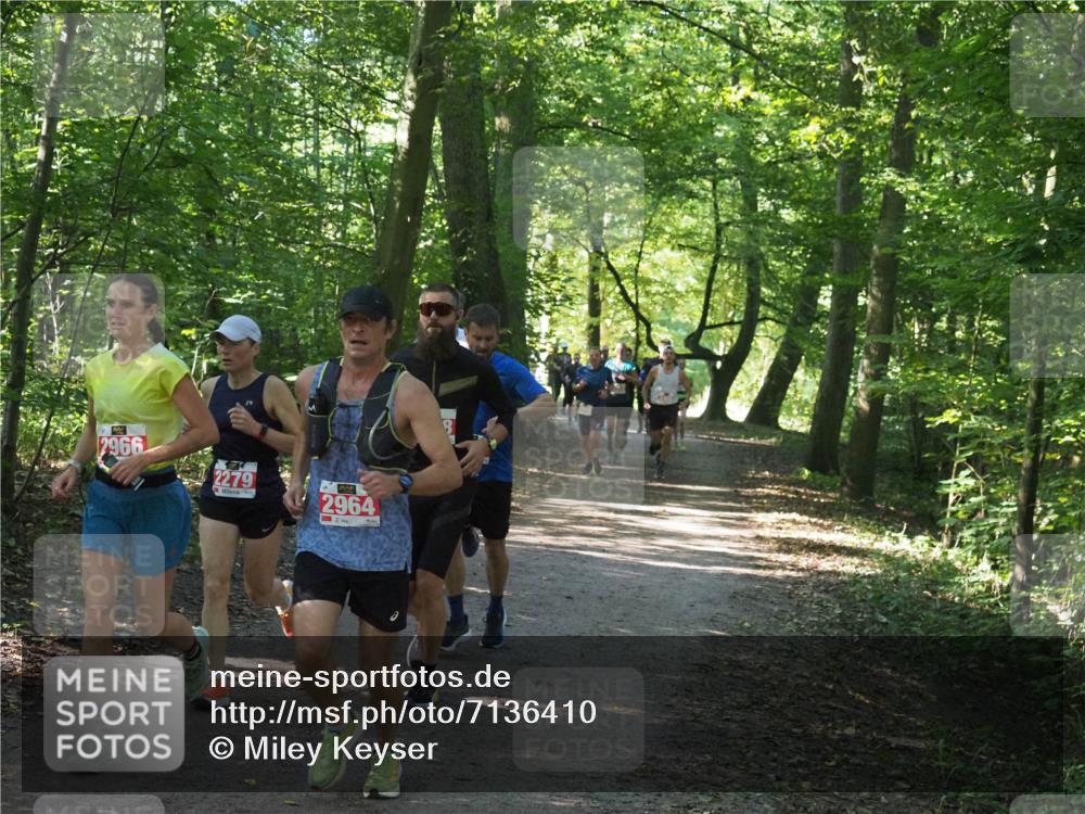 22.09.2024 - 32. Volkslauf durch das schöne Alstertal Miley Keyser http://msf.ph/oto/7136410 22.09.2024 10:40:07 Laufen 2966, 2279, 2964 meine-sportfotos.de