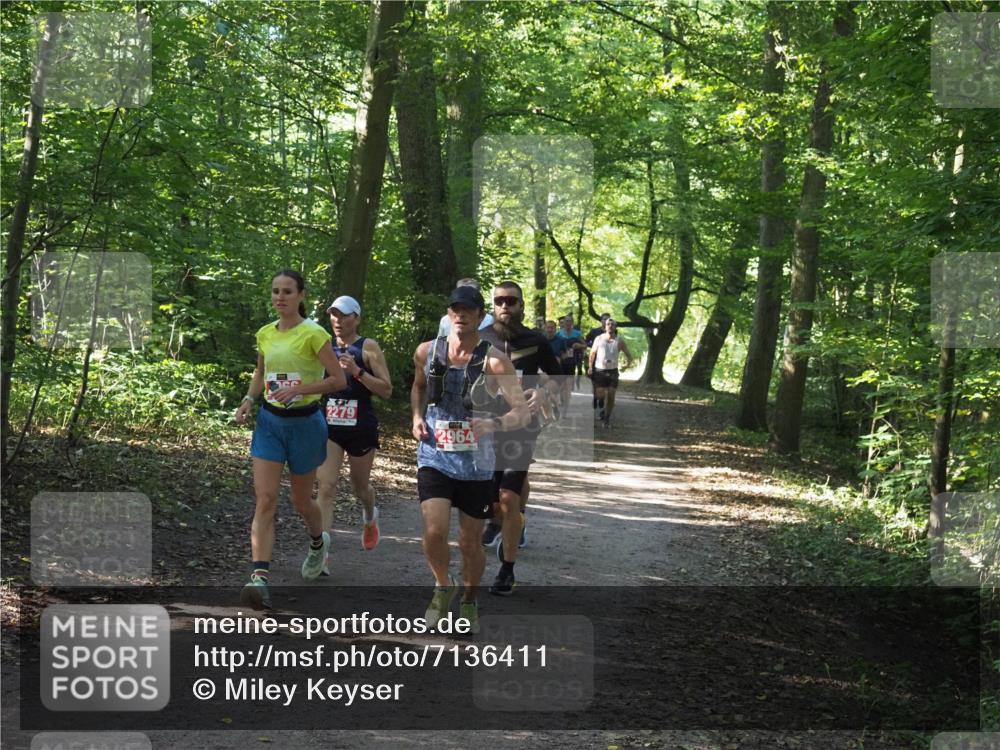 22.09.2024 - 32. Volkslauf durch das schöne Alstertal Miley Keyser http://msf.ph/oto/7136411 22.09.2024 10:40:06 Laufen 2279, 2964 meine-sportfotos.de