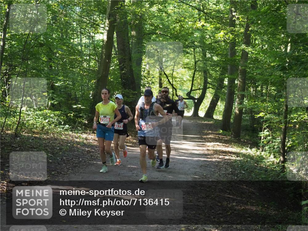 22.09.2024 - 32. Volkslauf durch das schöne Alstertal Miley Keyser http://msf.ph/oto/7136415 22.09.2024 10:40:06 Laufen 2966, 2279, 2964 meine-sportfotos.de