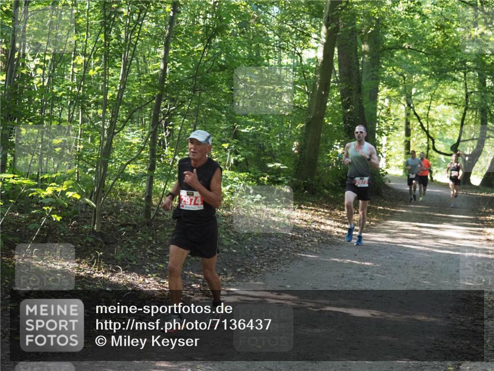 22.09.2024 - 32. Volkslauf durch das schöne Alstertal Miley Keyser http://msf.ph/oto/7136437 22.09.2024 10:39:48 Laufen 2974, 2970 meine-sportfotos.de