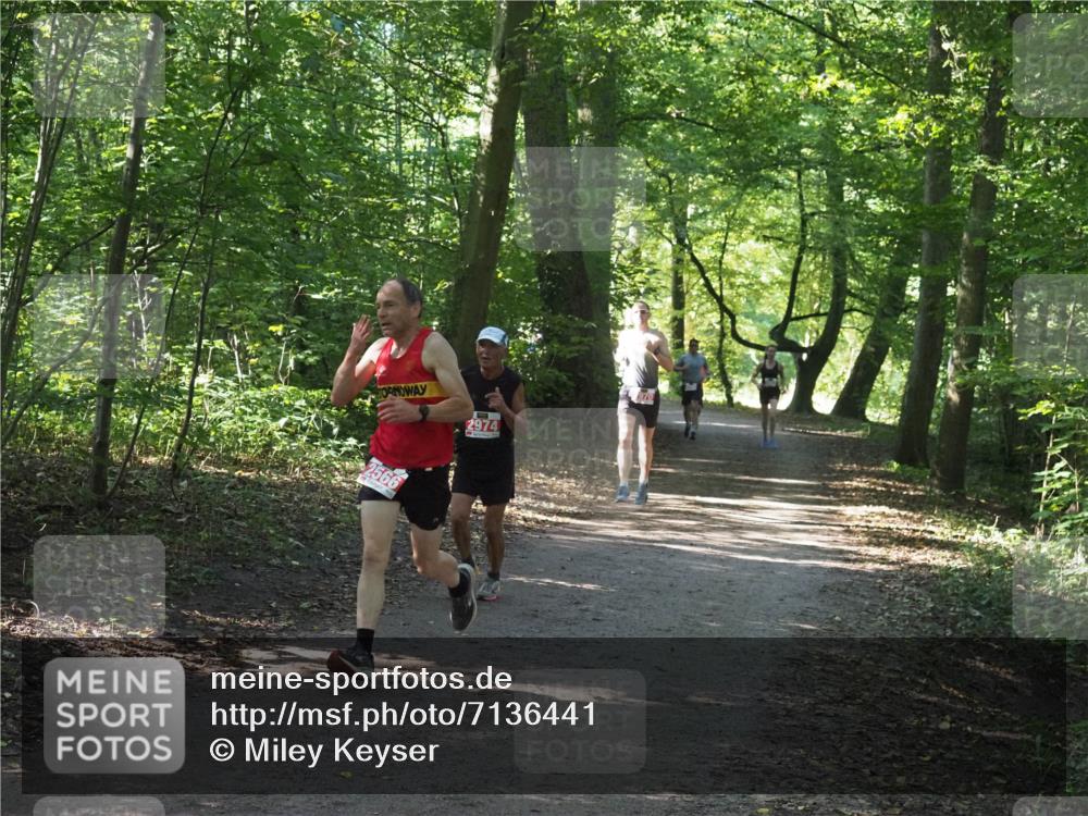 22.09.2024 - 32. Volkslauf durch das schöne Alstertal Miley Keyser http://msf.ph/oto/7136441 22.09.2024 10:39:47 Laufen 2566, 2974 meine-sportfotos.de