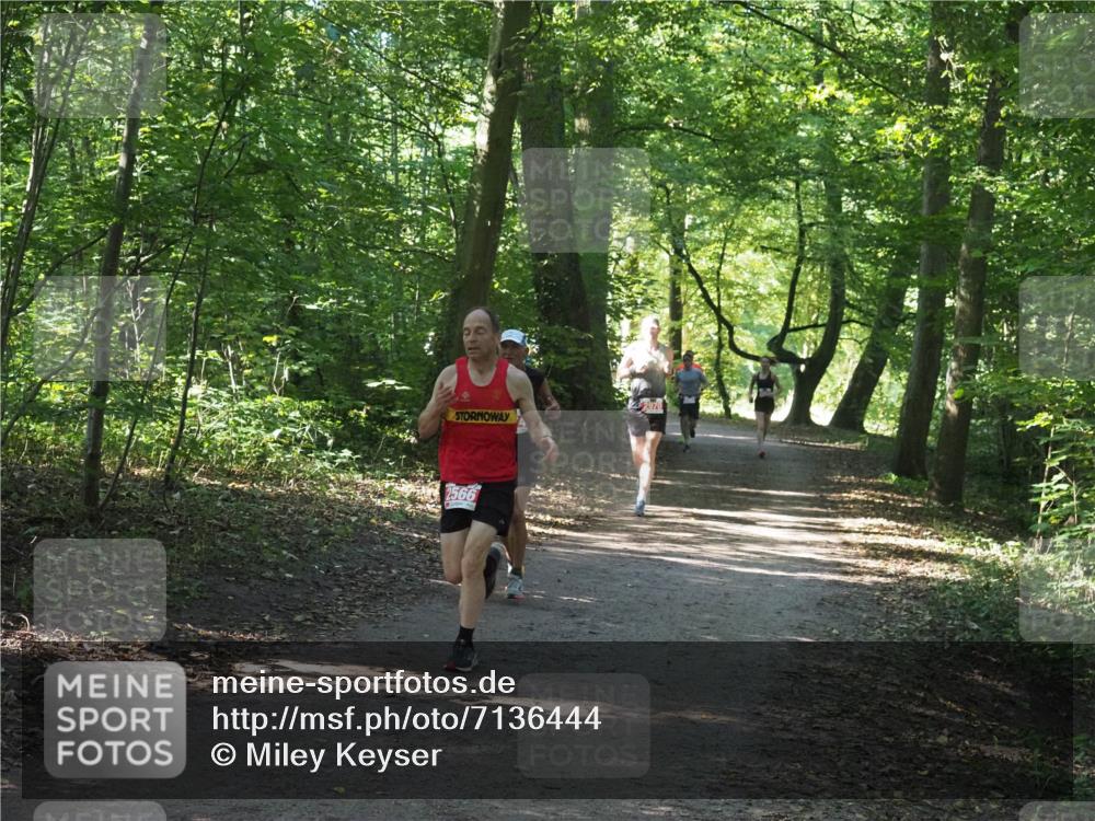 22.09.2024 - 32. Volkslauf durch das schöne Alstertal Miley Keyser http://msf.ph/oto/7136444 22.09.2024 10:39:47 Laufen 2970, 2566 meine-sportfotos.de