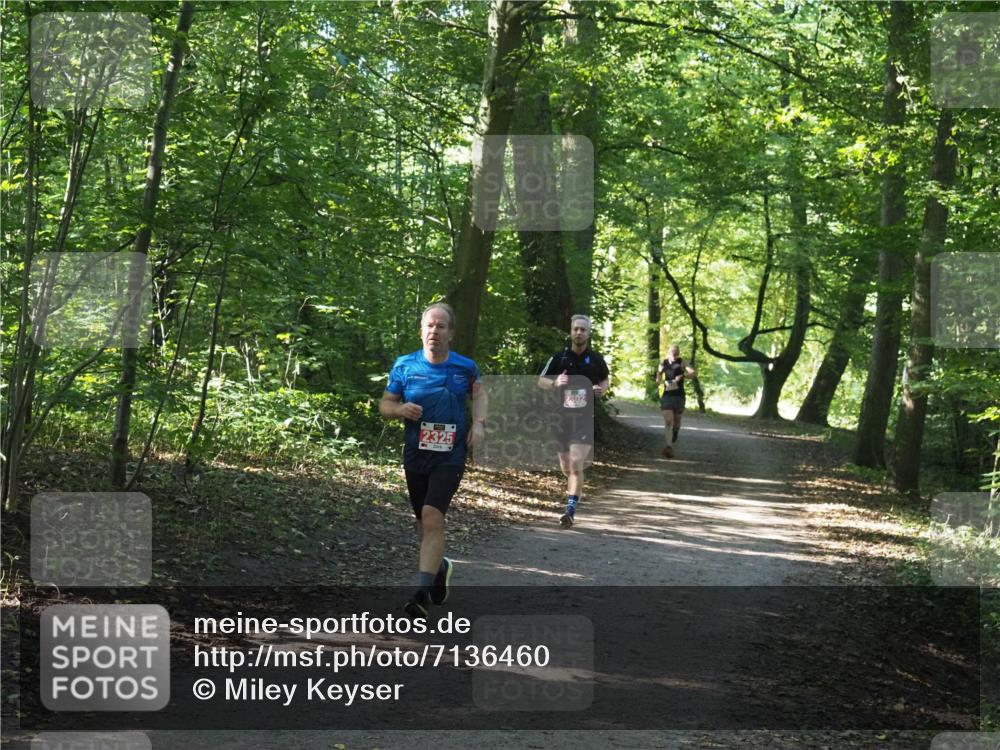 22.09.2024 - 32. Volkslauf durch das schöne Alstertal Miley Keyser http://msf.ph/oto/7136460 22.09.2024 10:39:32 Laufen 2325 meine-sportfotos.de