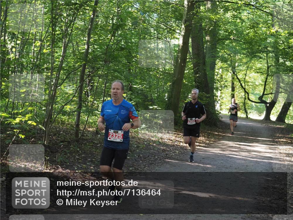 22.09.2024 - 32. Volkslauf durch das schöne Alstertal Miley Keyser http://msf.ph/oto/7136464 22.09.2024 10:39:33 Laufen 2325 meine-sportfotos.de