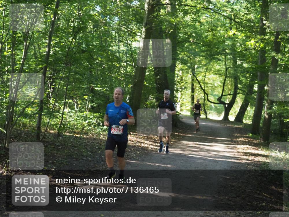 22.09.2024 - 32. Volkslauf durch das schöne Alstertal Miley Keyser http://msf.ph/oto/7136465 22.09.2024 10:39:32 Laufen  meine-sportfotos.de